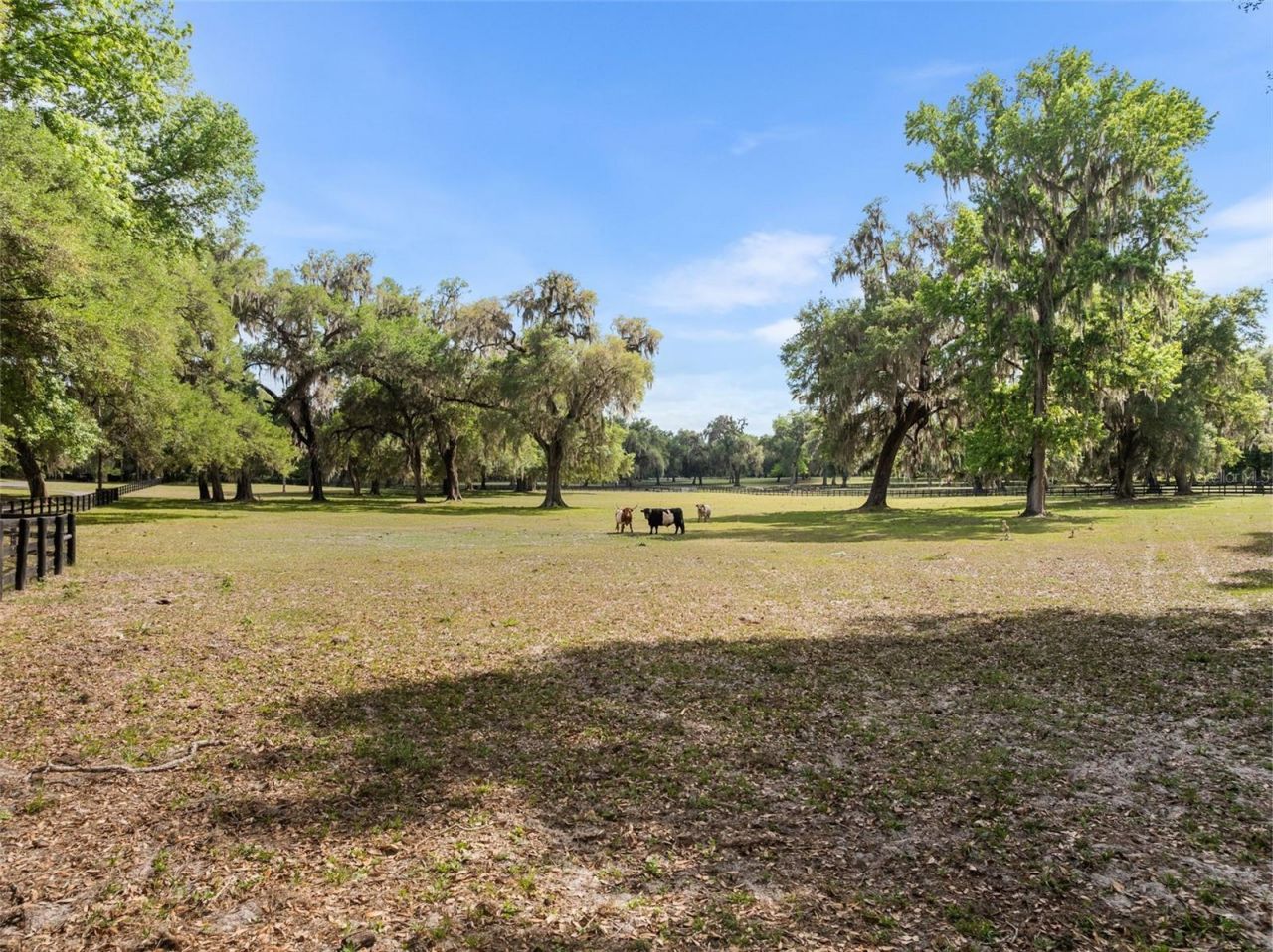 17995 NE 24th Terrace, Citra, FL 32113 Photo
