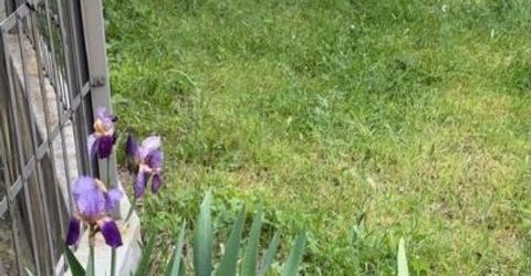 Union St, Nevada City, CA 95959 Photo