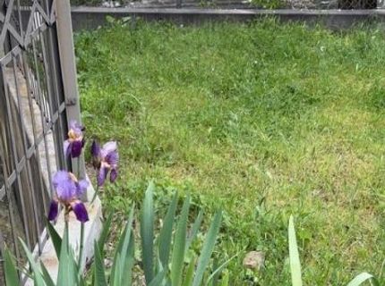 Union St, Nevada City, CA 95959 Photo