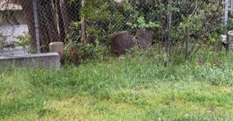 Union St, Nevada City, CA 95959 Photo