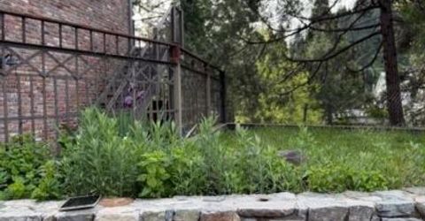 Union St, Nevada City, CA 95959 Photo