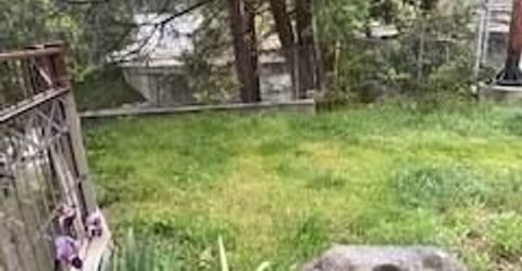 Union St, Nevada City, CA 95959 Photo