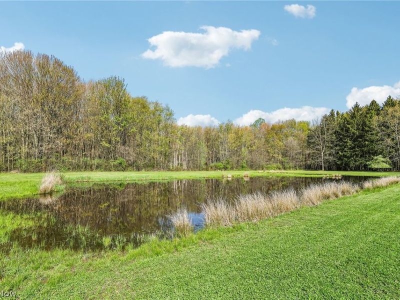 3508 Bushwillow Drive, Green, OH 44685 Photo 42