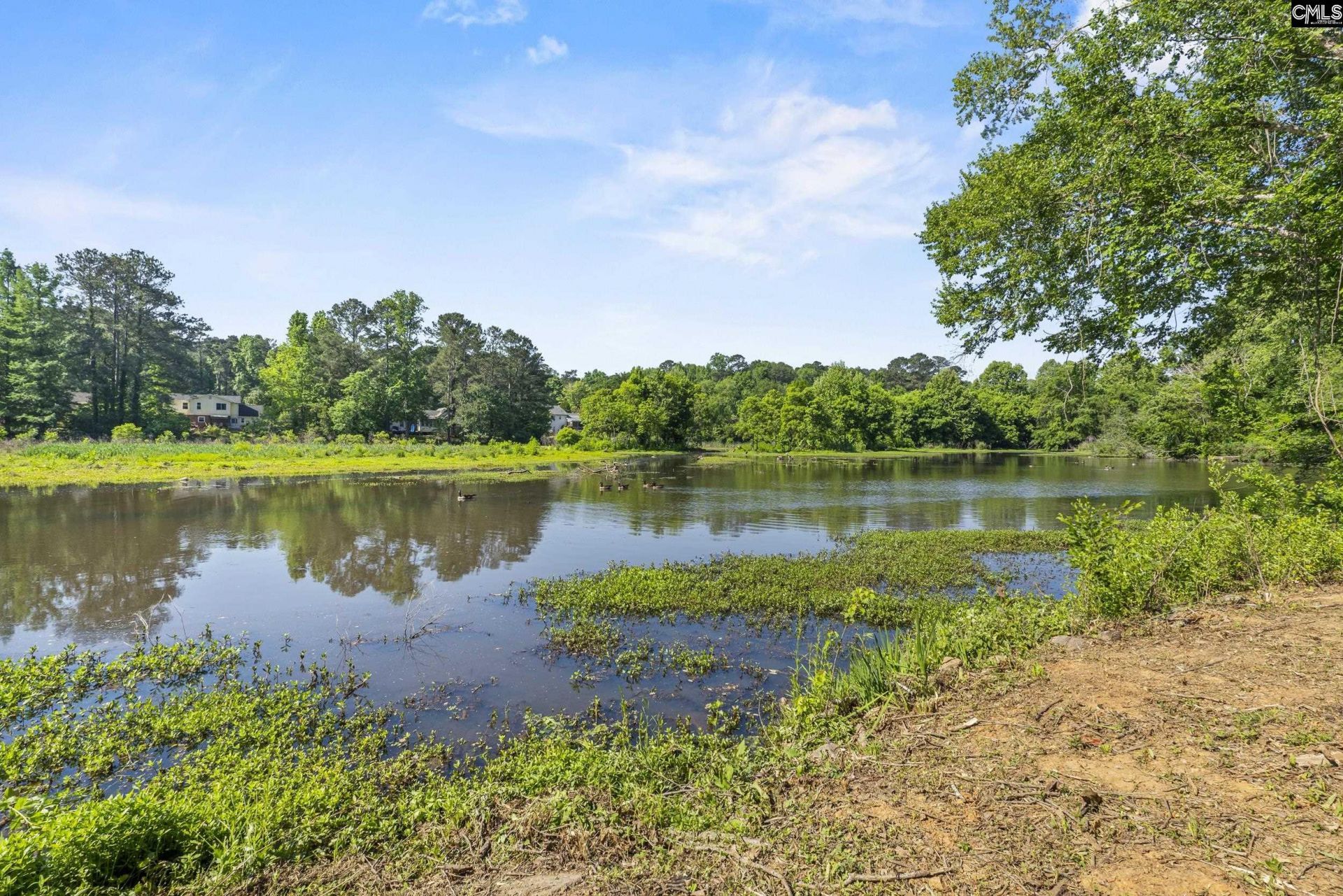 243 Bishopgate Road  Photo 41