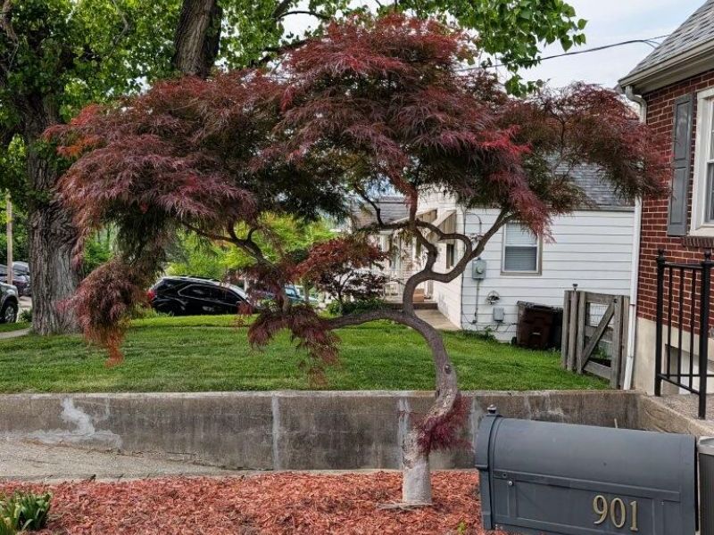901 Lafayette Avenue, Bellevue, KY 41073 Photo 2