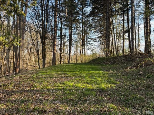 00 Pit Road , Java Center, NY 14082