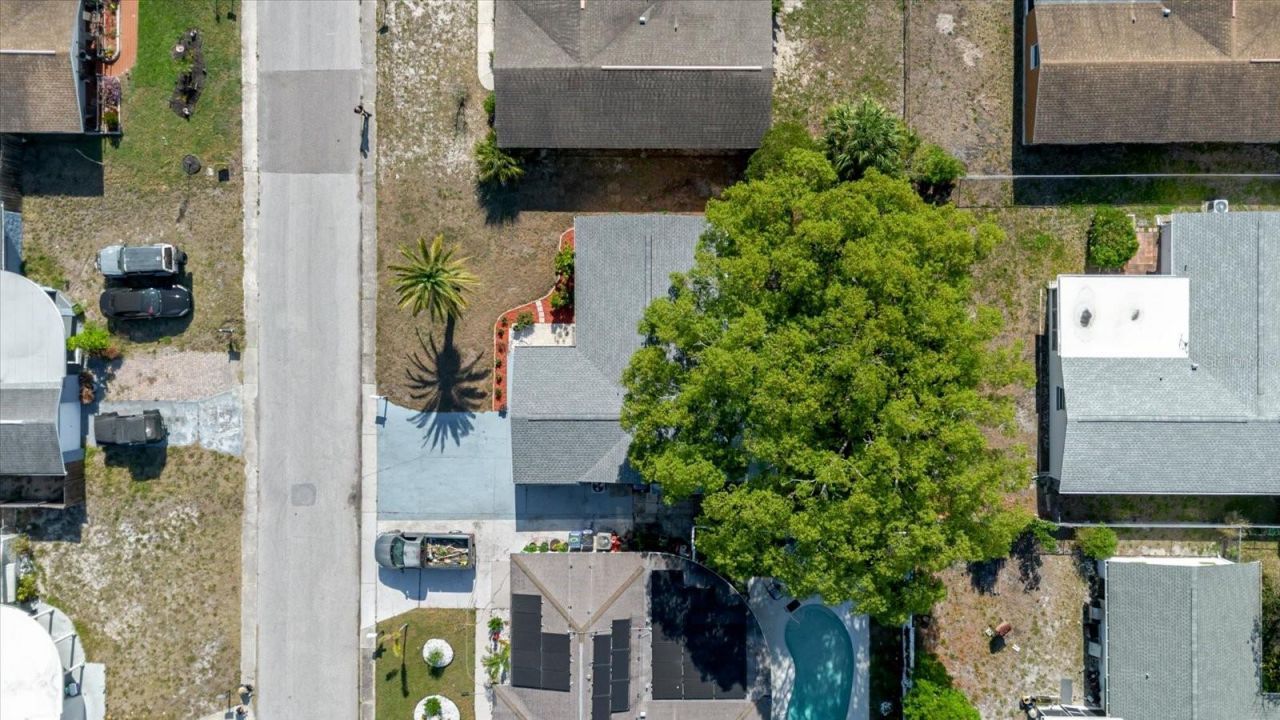 3338 Hoover Drive, Holiday, FL 34691 Photo