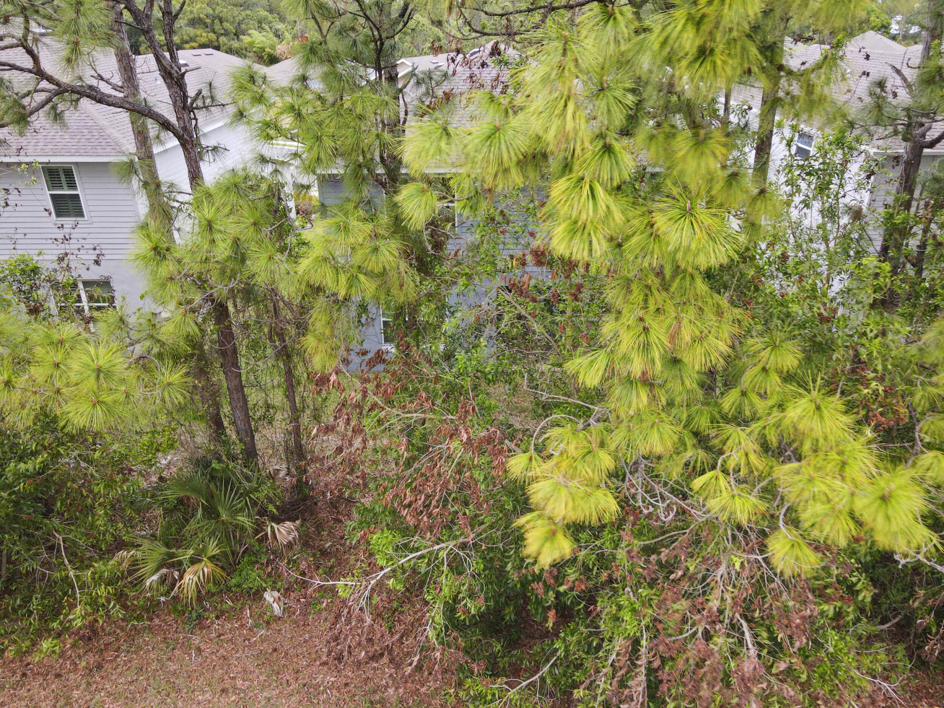692 NE Turtleback Trail, Port Saint Lucie, FL 34983 Photo