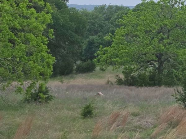 TBD Yosemite Dr. Lot# 202 Drive, Oglesby, TX 76561