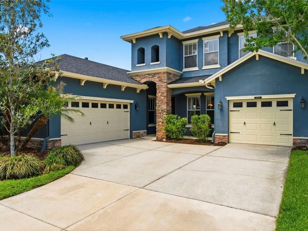 20629 WILD PLUM COURT, LAND O LAKES, FL 34637