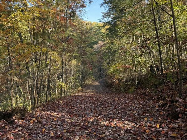 425 Smokey Rd, Rutledge, TN 37861