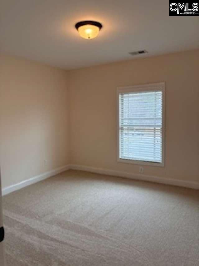 455 Coopers Edge Lane  Photo 15