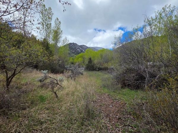 N/A Oliver Drive, SALMON, ID 83467