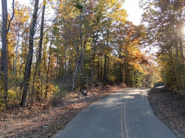 1 Gooch Store Rd , Hornsby, TN 38044