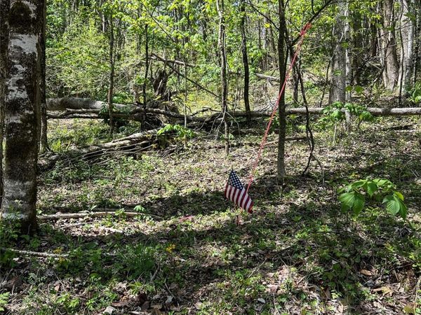 Lot# 34 Buckeye Creek Road, Beech Mountain, NC 28622