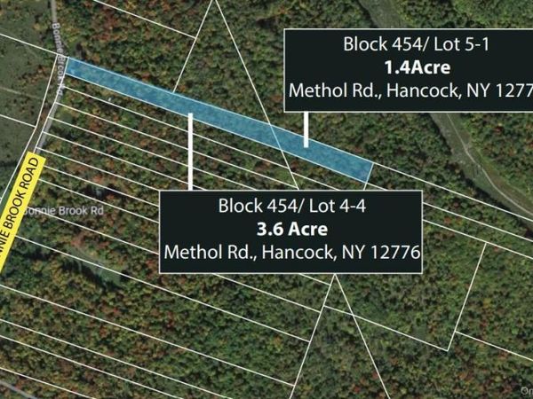 Methol Road, Roscoe, NY 12776
