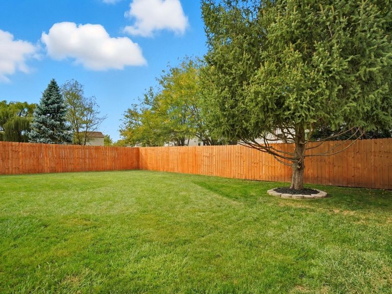 2394 Shelby Lane, Hilliard, OH 43026 Photo 45