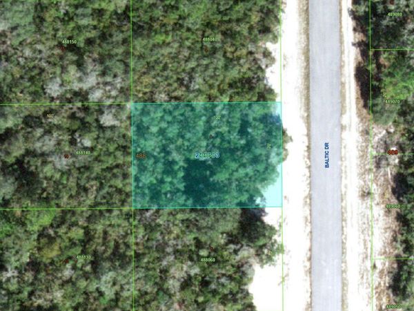 1238 BALTIC DRIVE , KISSIMMEE, FL 34759