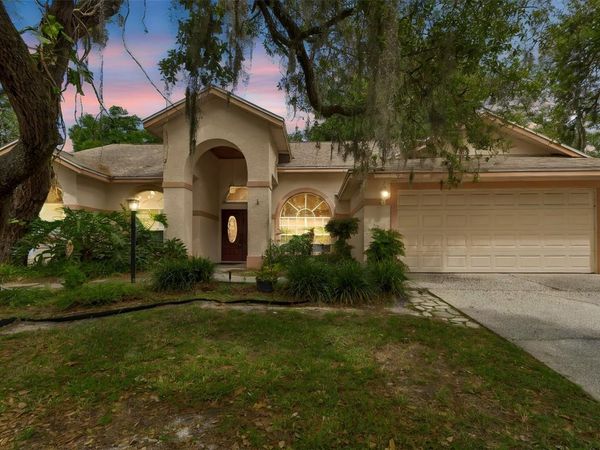 1336 WATERWOOD DRIVE , LUTZ, FL 33559