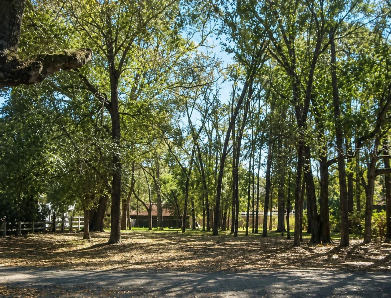 820 E Magnolia Drive, Altamonte Springs, FL 32701 Main Photo