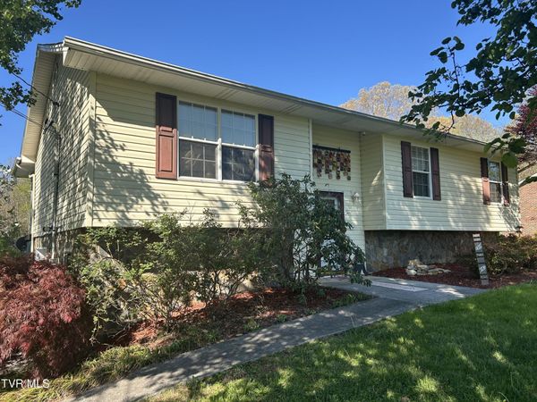 163 Austin Drive, Rogersville, TN 37857