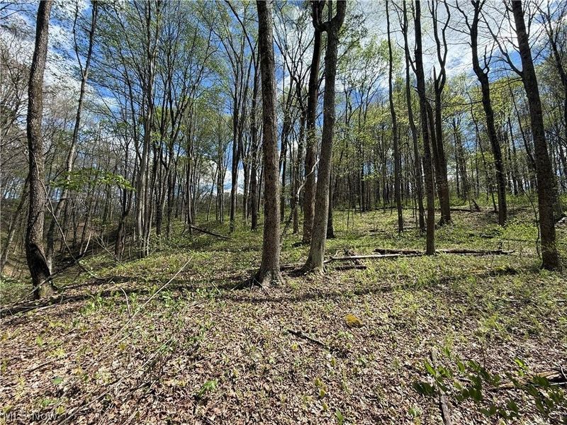 Plainview Road, Woodsfield, OH 43793 Photo 15
