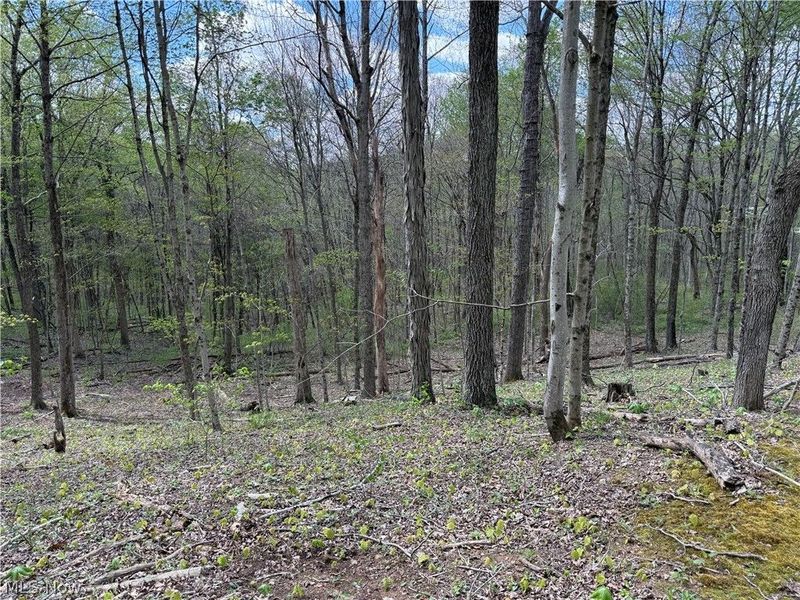 Plainview Road, Woodsfield, OH 43793 Photo 3