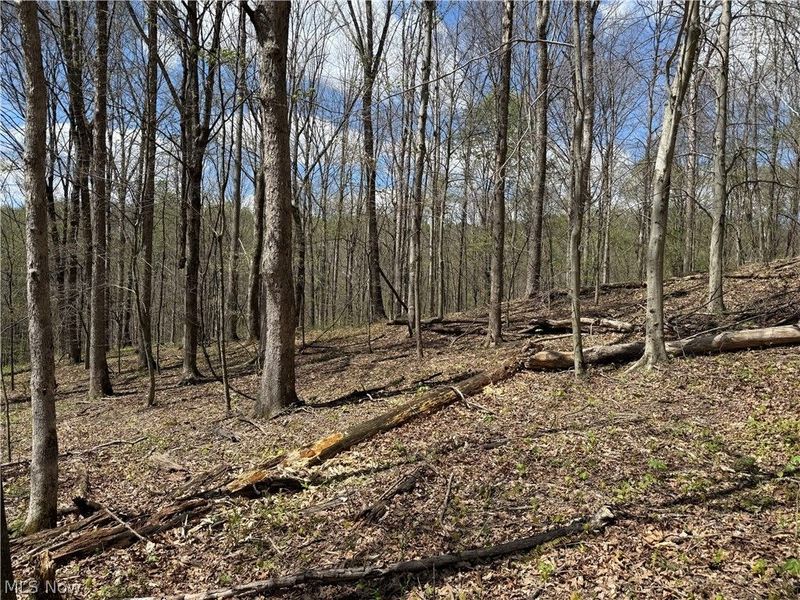 Plainview Road, Woodsfield, OH 43793 Photo 8