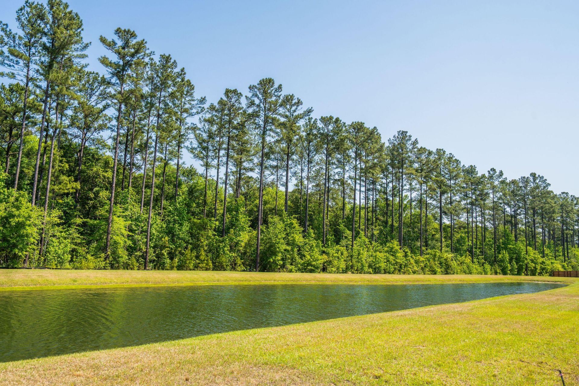 169 Huguenot Trail Photo 49