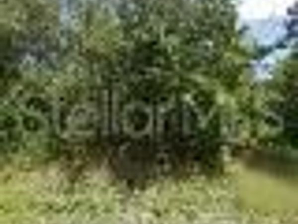 245 N ROMERO STREET , CLEWISTON, FL 33440