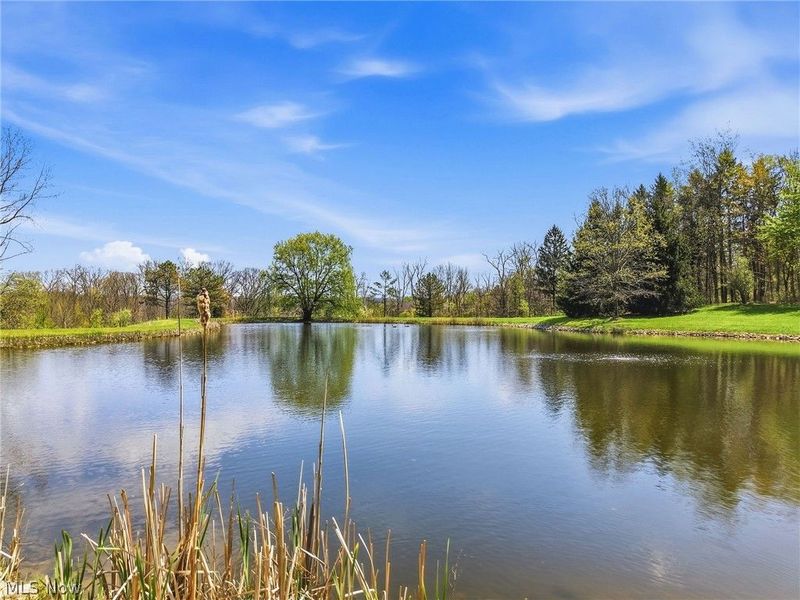 1803 Whisper Bluff Trail, Hinckley, OH 44233 Photo 29