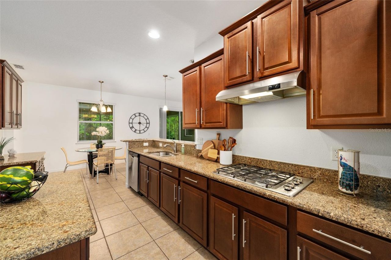 4562 Antietam Creek Trail, Leesburg, FL 34748 Photo