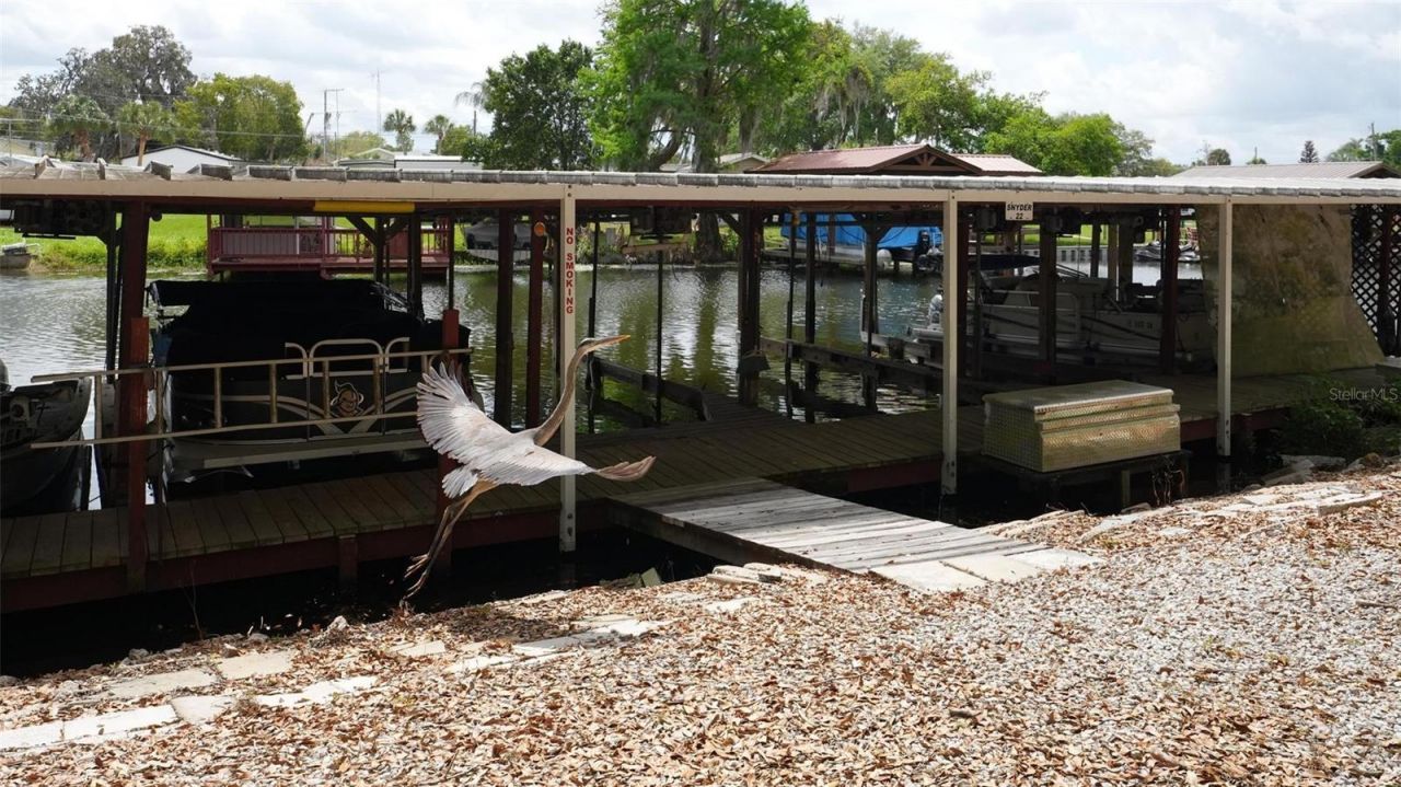 31609 Terrace Drive , Tavares, FL 32778 Photo