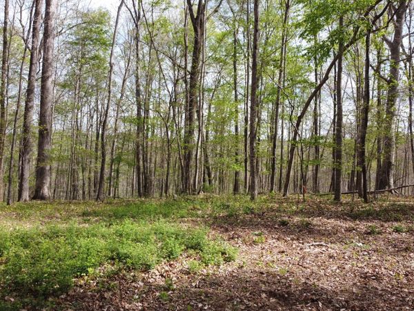 0 Off Johnson Chapel Rd , Sparta, TN 38583