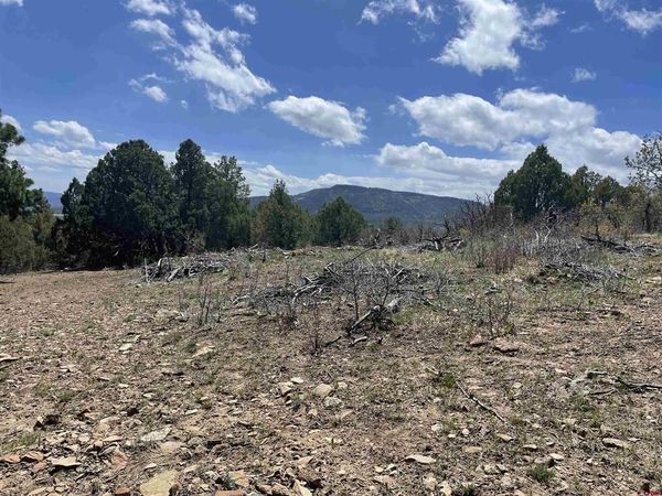 1131 Lodge Pole Drive, Pagosa Springs, CO 81147