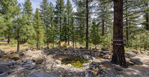 16470 Snow Flower Drive, Reno, NV 89511 Photo