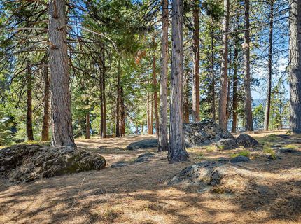 6545 Dyer Drive, Lake Almanor, CA 96137 Photo