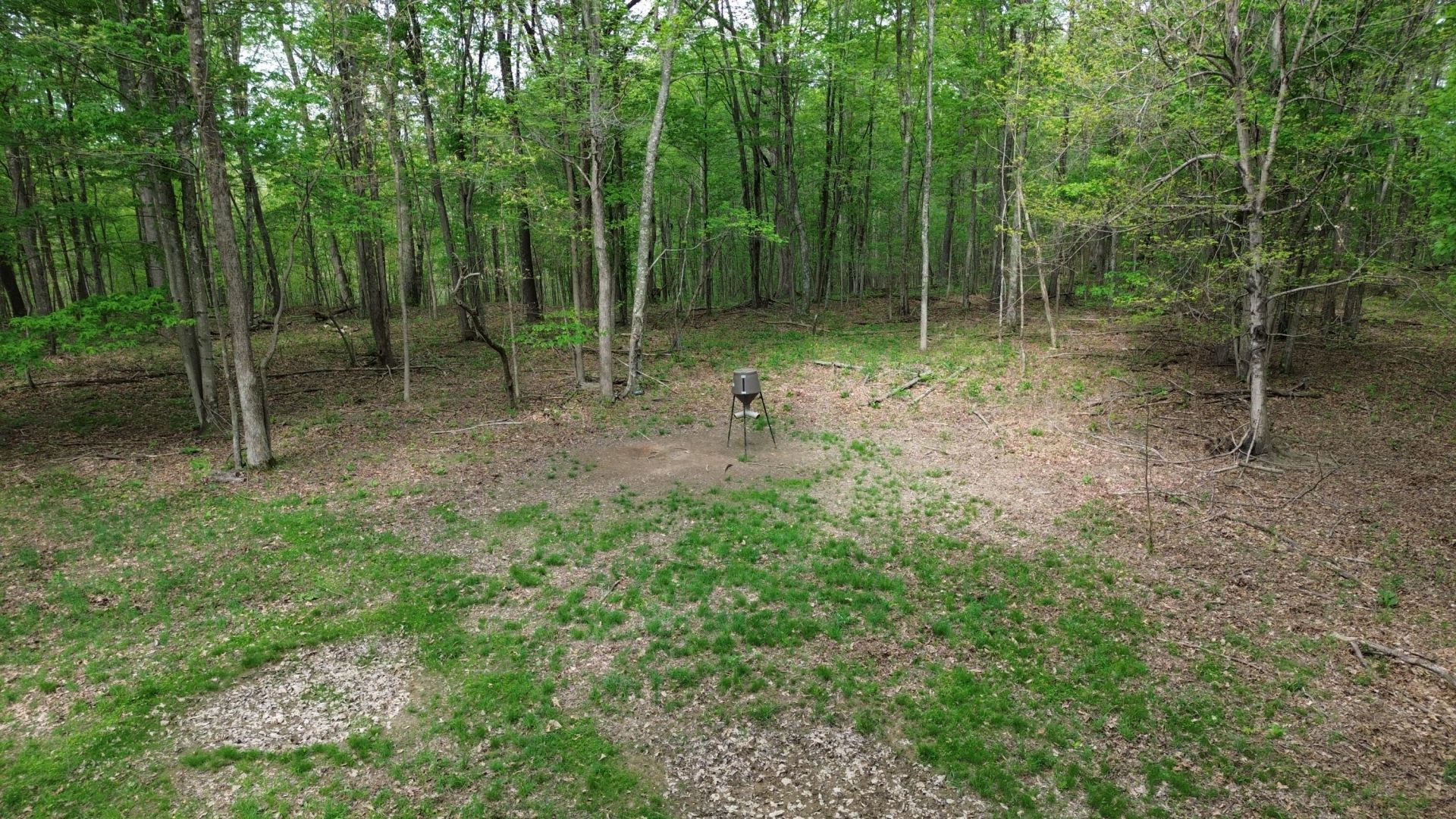 1271a Tunnel Ridge Rd, Argillite, KY 41121 Main Photo