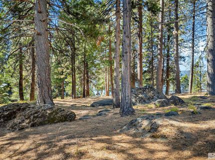 6545 Dyer Drive, East Shore, CA 96137 Photo