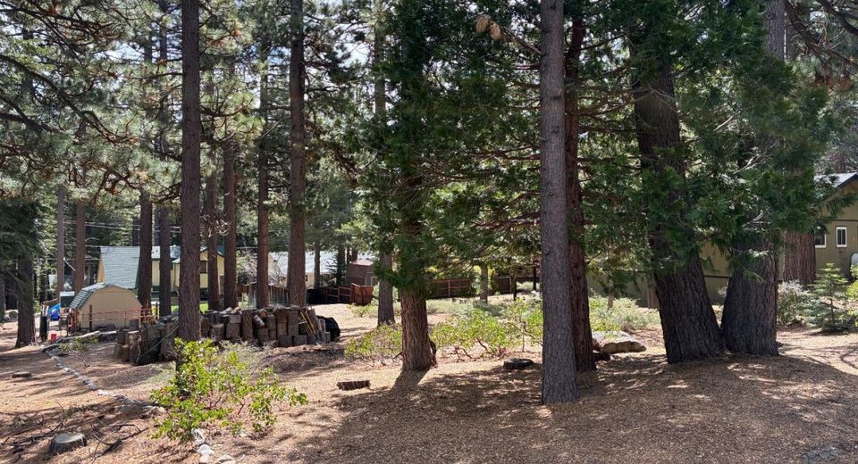1989 Kickapoo Street, South Lake Tahoe, CA 96150 Photo