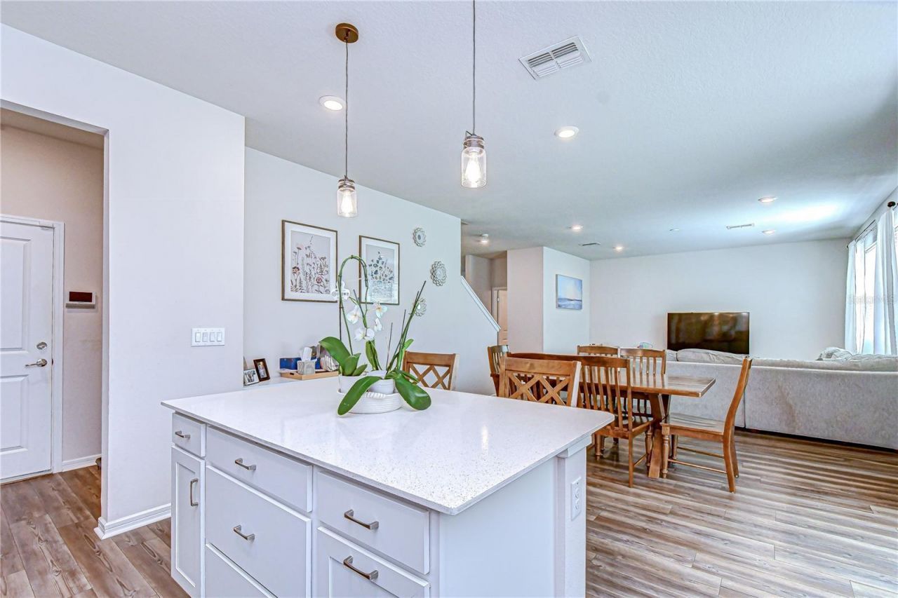 20978 Monza Loop, Land O Lakes, FL 34638 Photo