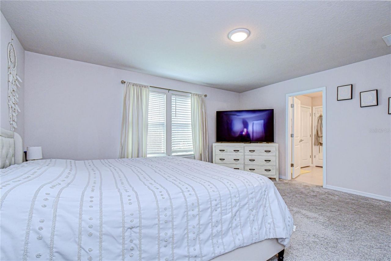 20978 Monza Loop, Land O Lakes, FL 34638 Photo