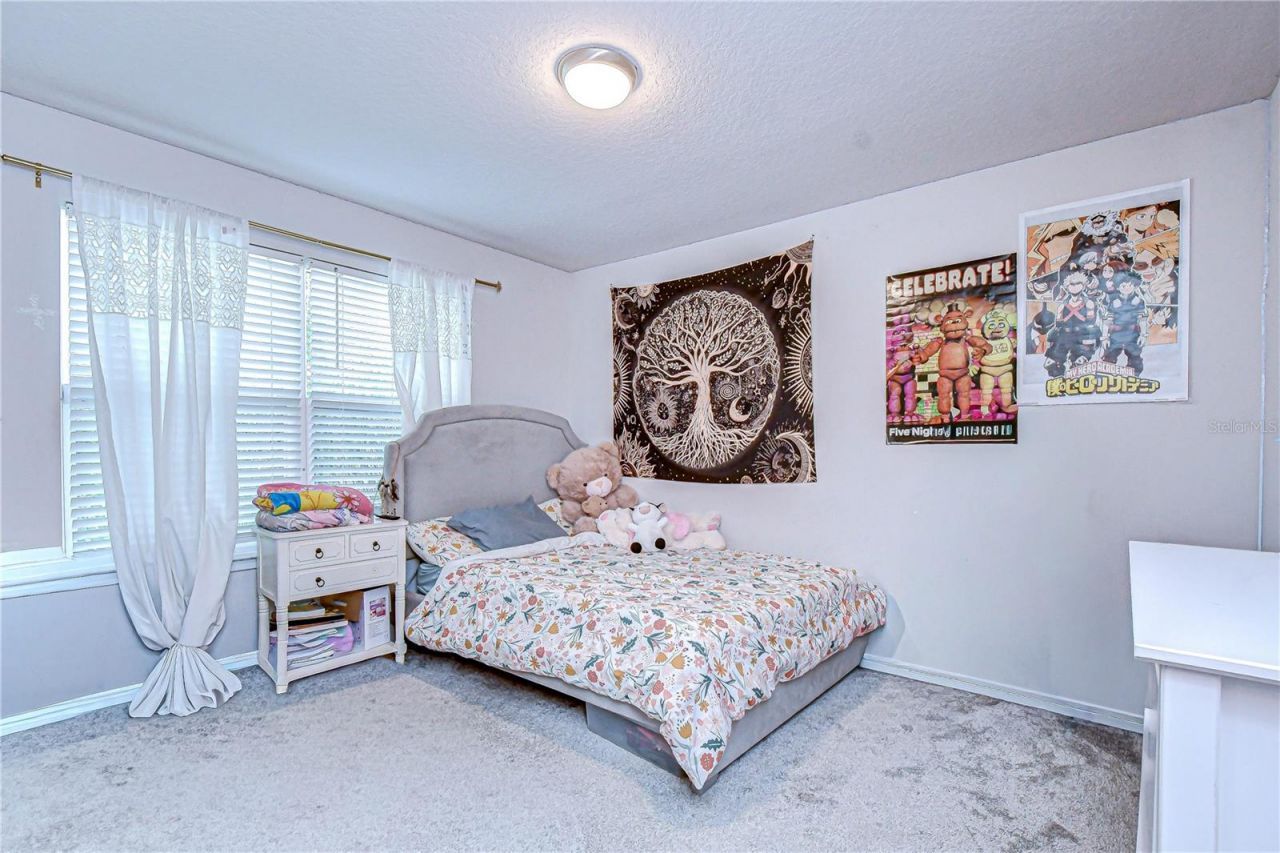 20978 Monza Loop, Land O Lakes, FL 34638 Photo