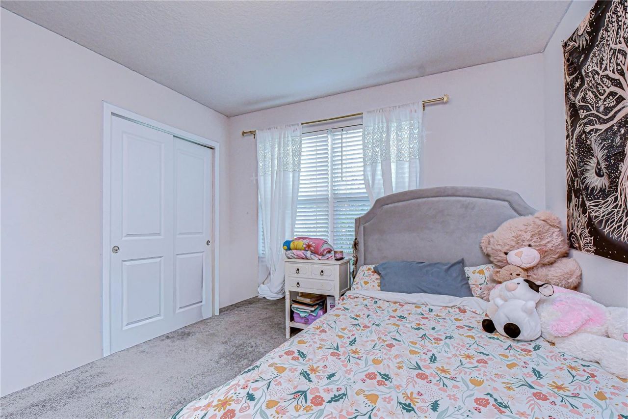 20978 Monza Loop, Land O Lakes, FL 34638 Photo