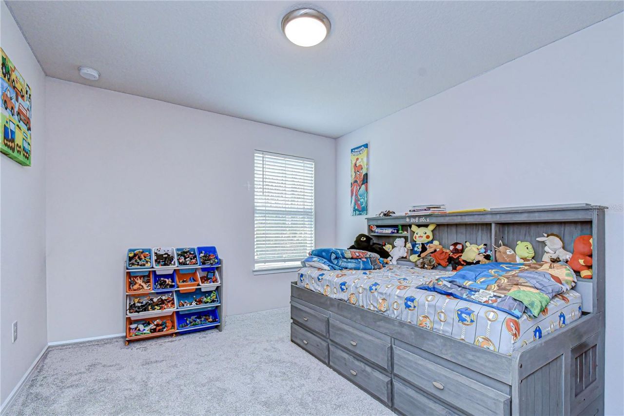20978 Monza Loop, Land O Lakes, FL 34638 Photo