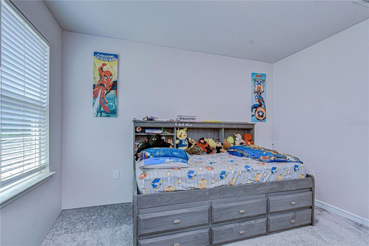 20978 Monza Loop, Land O Lakes, FL 34638 Photo