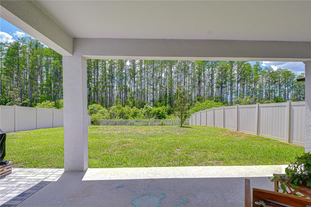 20978 Monza Loop, Land O Lakes, FL 34638 Photo