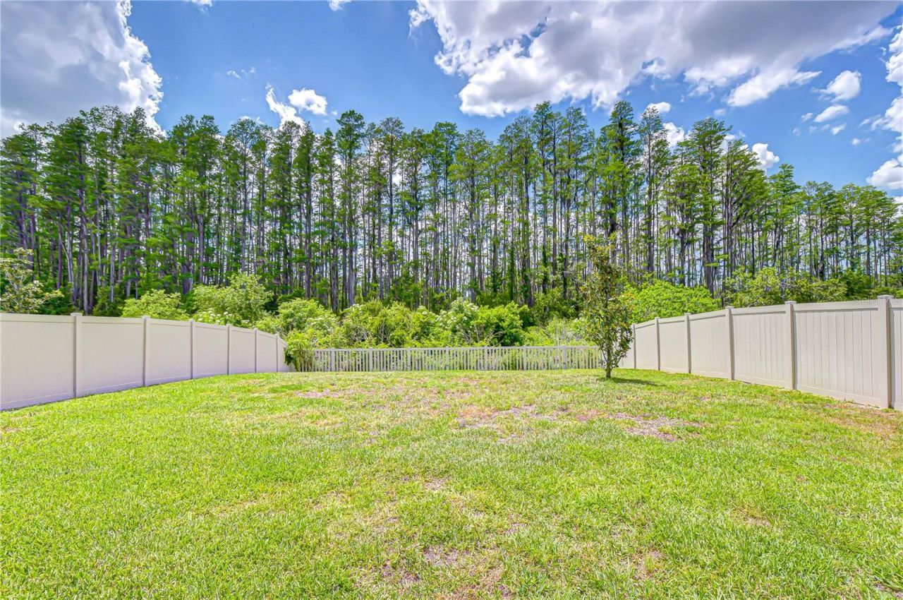 20978 Monza Loop, Land O Lakes, FL 34638 Photo