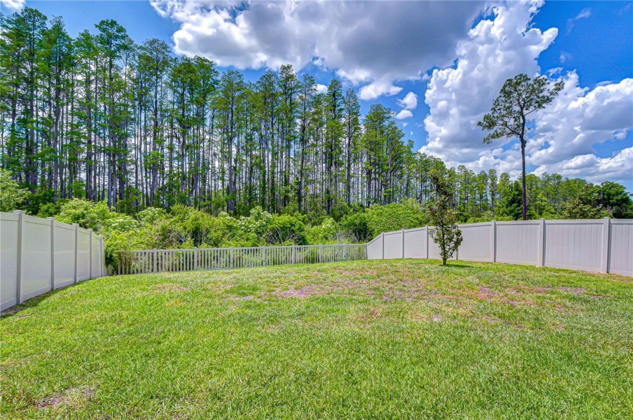 20978 Monza Loop, Land O Lakes, FL 34638 Photo