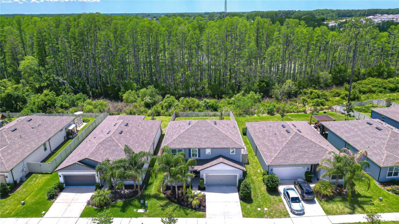 20978 Monza Loop, Land O Lakes, FL 34638 Photo